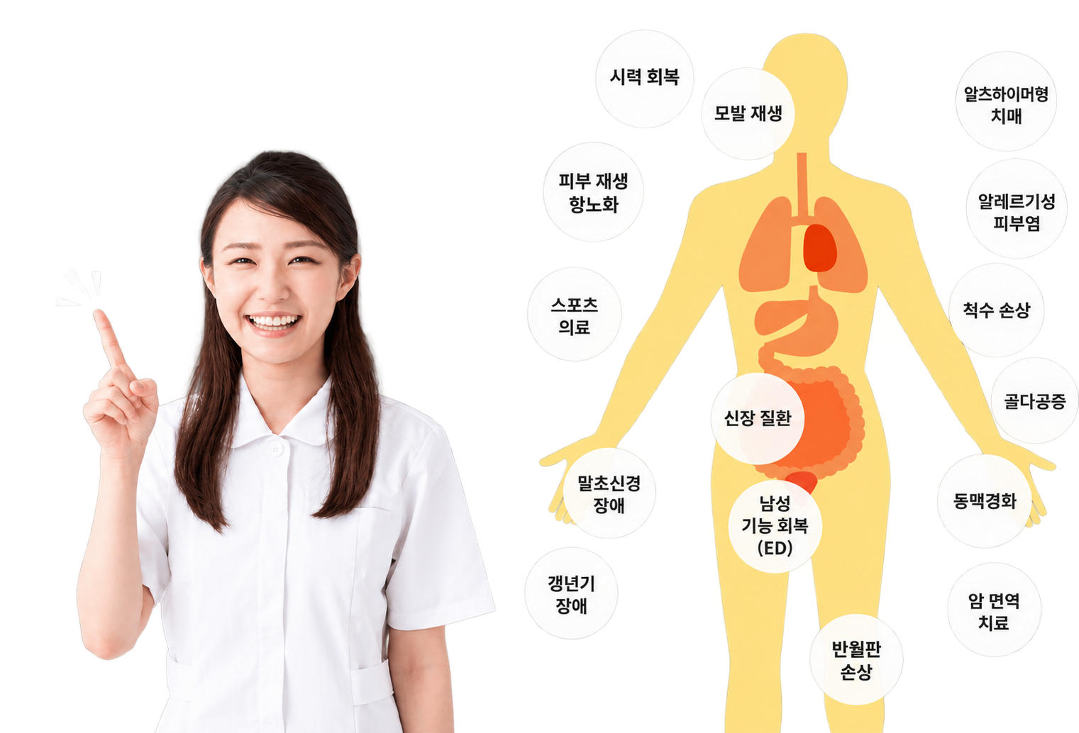재생의료가 응용되는 질환: 시력 회복, 모발 재생, 피부 재생·항노화, 스포츠 의료, 신장 질환, 말초신경 장애, 갱년기 장애, 남성 기능 회복(ED), 알츠하이머형 치매, 알레르기성 피부염, 척수 손상, 골다공증, 동맥경화, 암 면역 치료, 반월판 손상