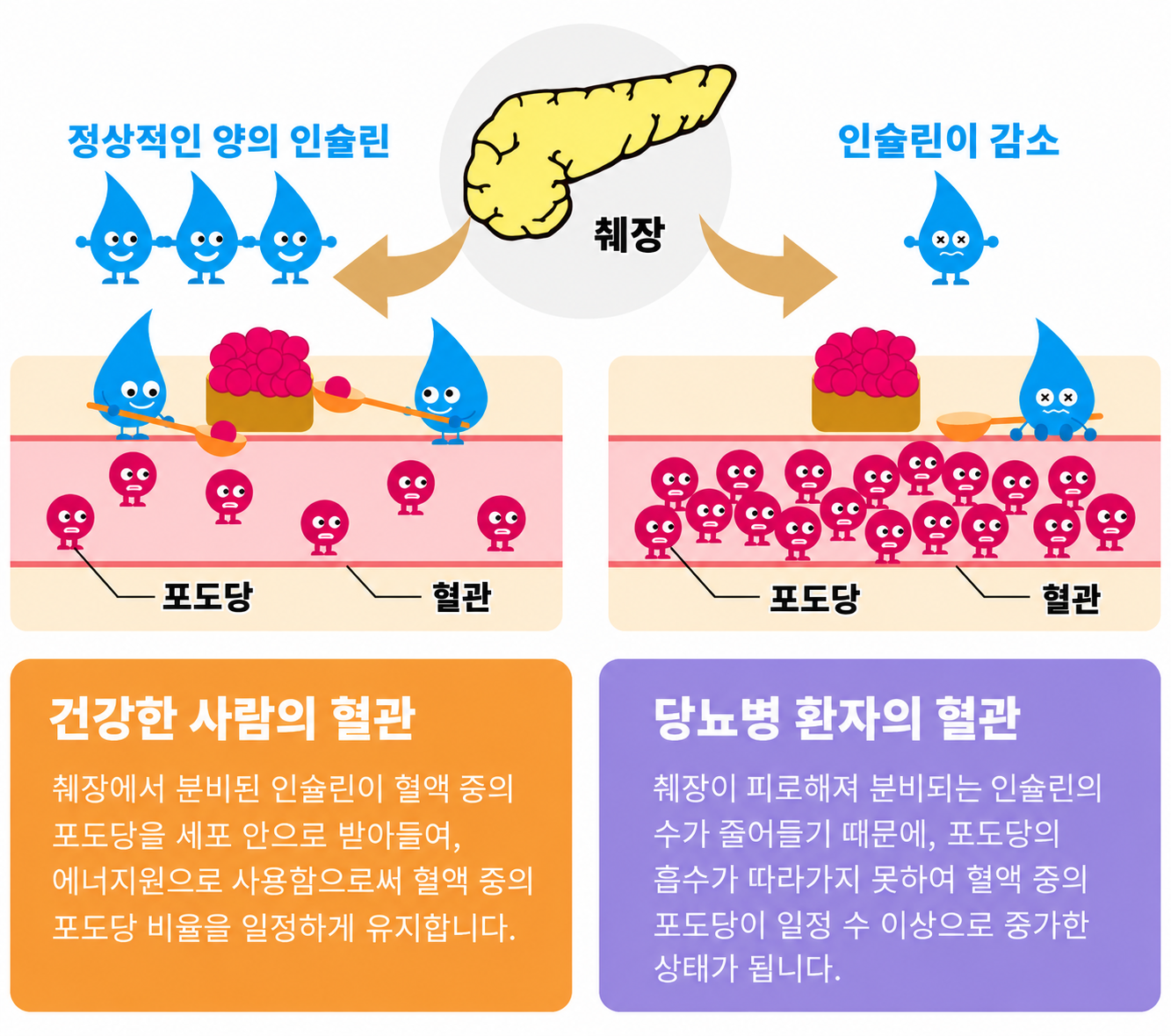 건강한 사람과 당뇨병 환자의 혈관 속 포도당 비교