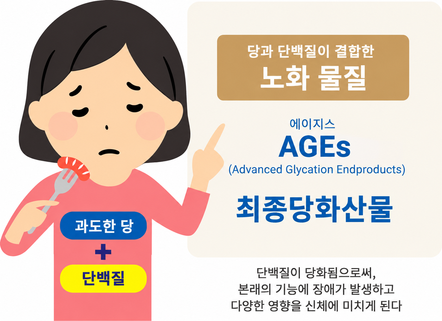 당과 단백질이 결합한 노화 물질 AGEs(최종당화산물)